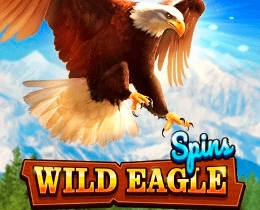 winspark wild eagle