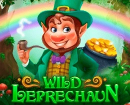 winspark wild leprechaun