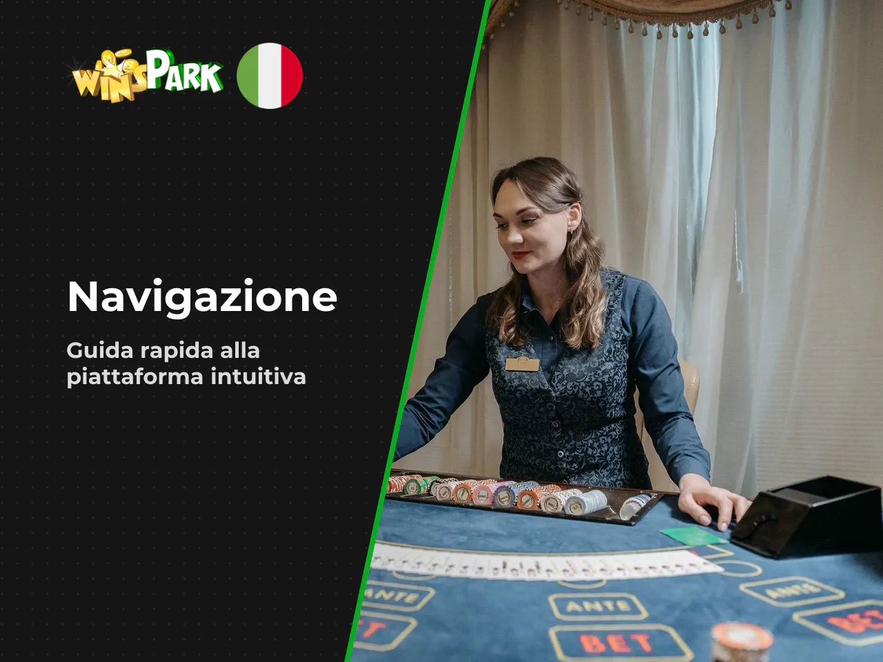 Winspark sito e navigazione delle sezioni