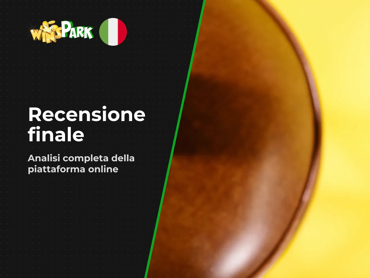 Conclusioni e raccomandazioni. Winspark si presenta